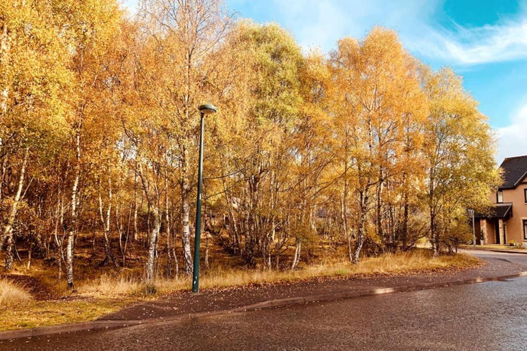 Cairngorm Cottage Aviemore Dış mekan fotoğraf